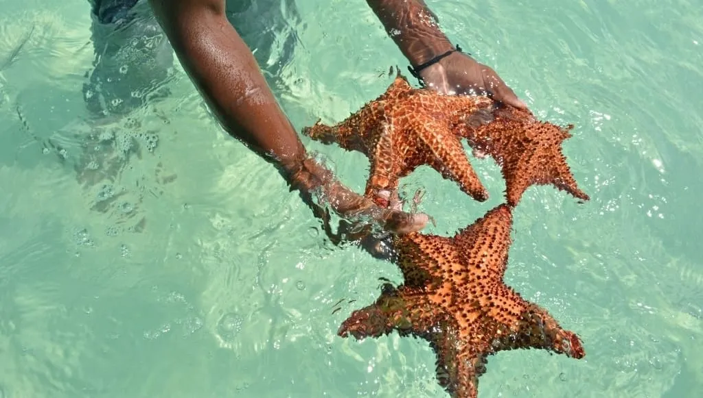 Isla Saona · foto 4