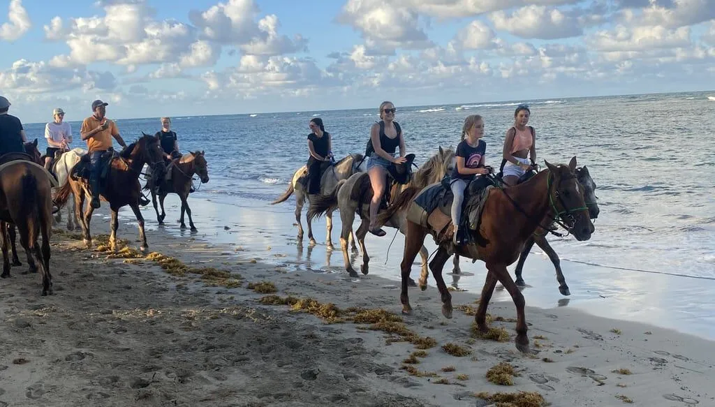 Excursión de cabalgata