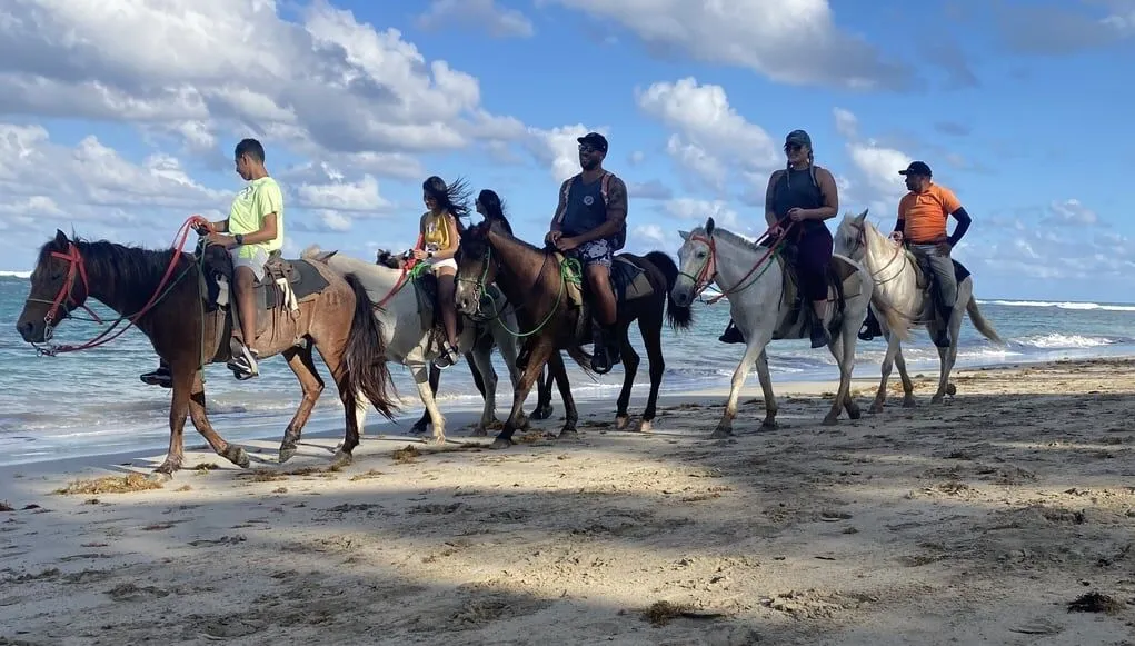 Recorrido a caballo en Punta Cana
