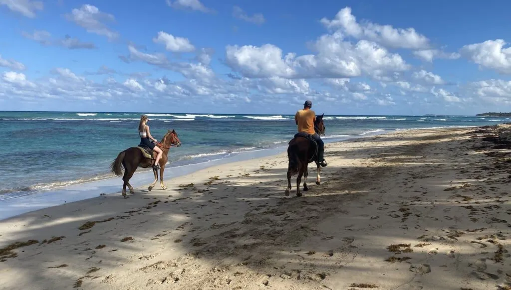 Cabalgata junto a la playa