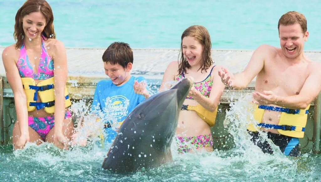 Encuentro con un delfín en Dolphin Island
