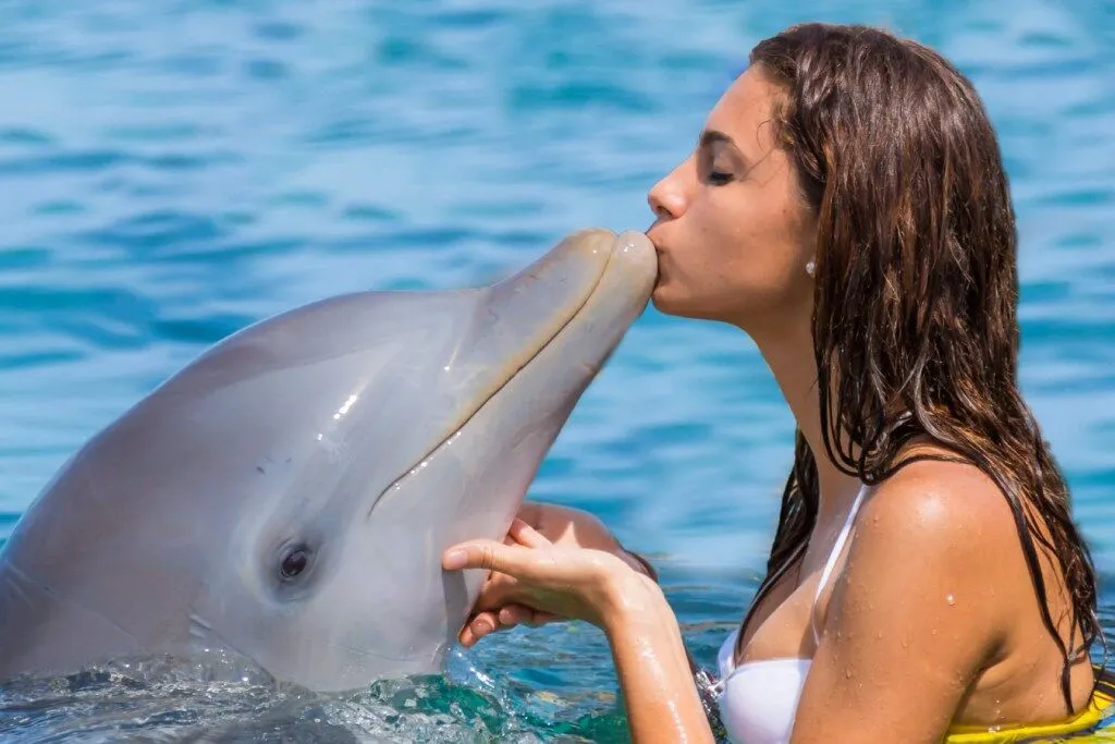 Dolphin Island · foto 2