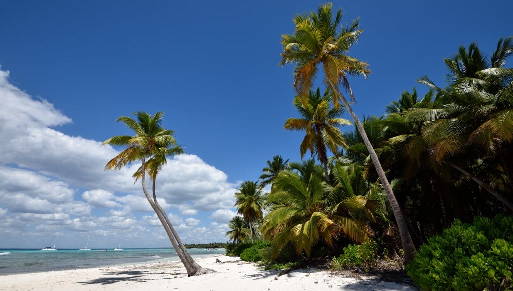 Orilla de Isla Saona