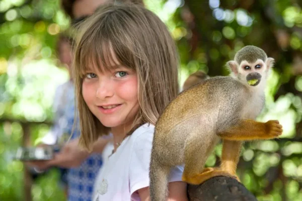 Monkeyland