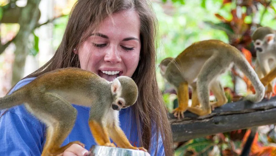 Monkeyland · foto 2