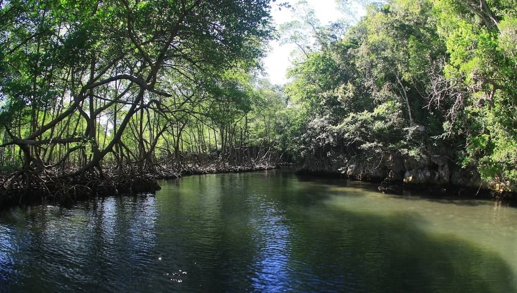 Samaná · foto 4
