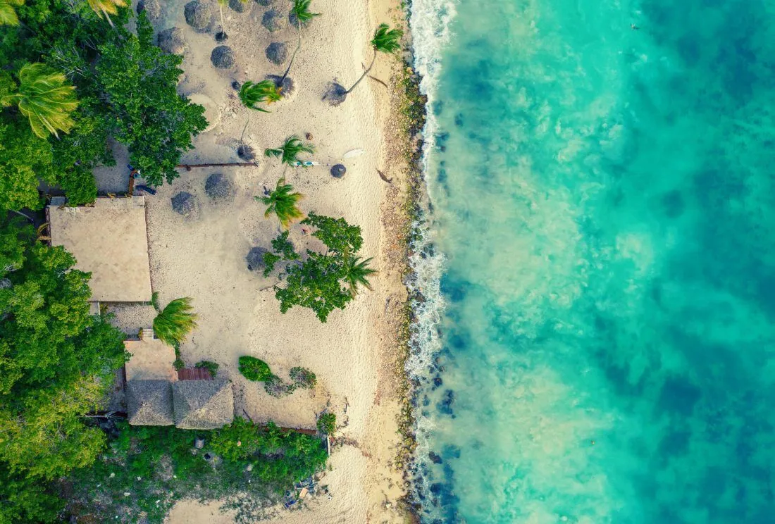 Excursión privada a Isla Saona