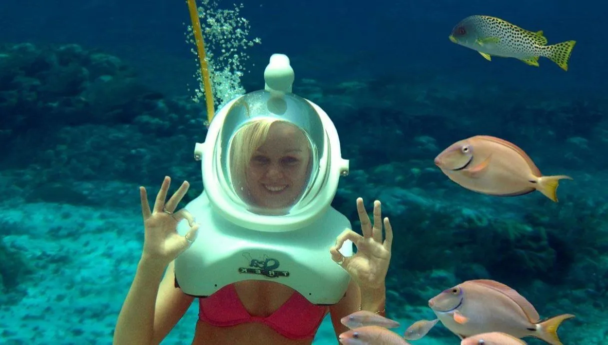Seaquarium en Punta Cana