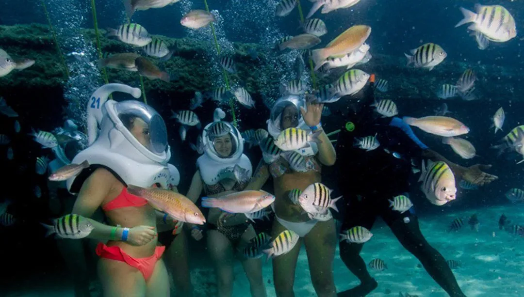 Seaquarium en Punta Cana: fotografía 4 de la experiencia