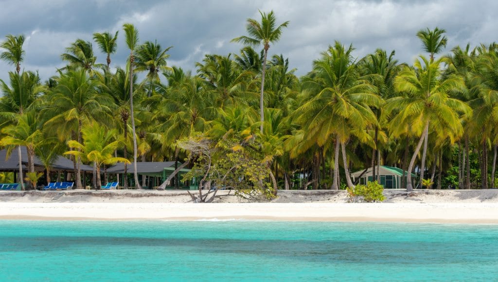 Playa y palmeras de Isla Saona
