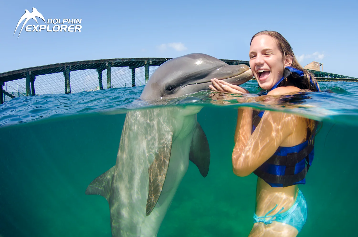 Dolphin Explorer · foto 4