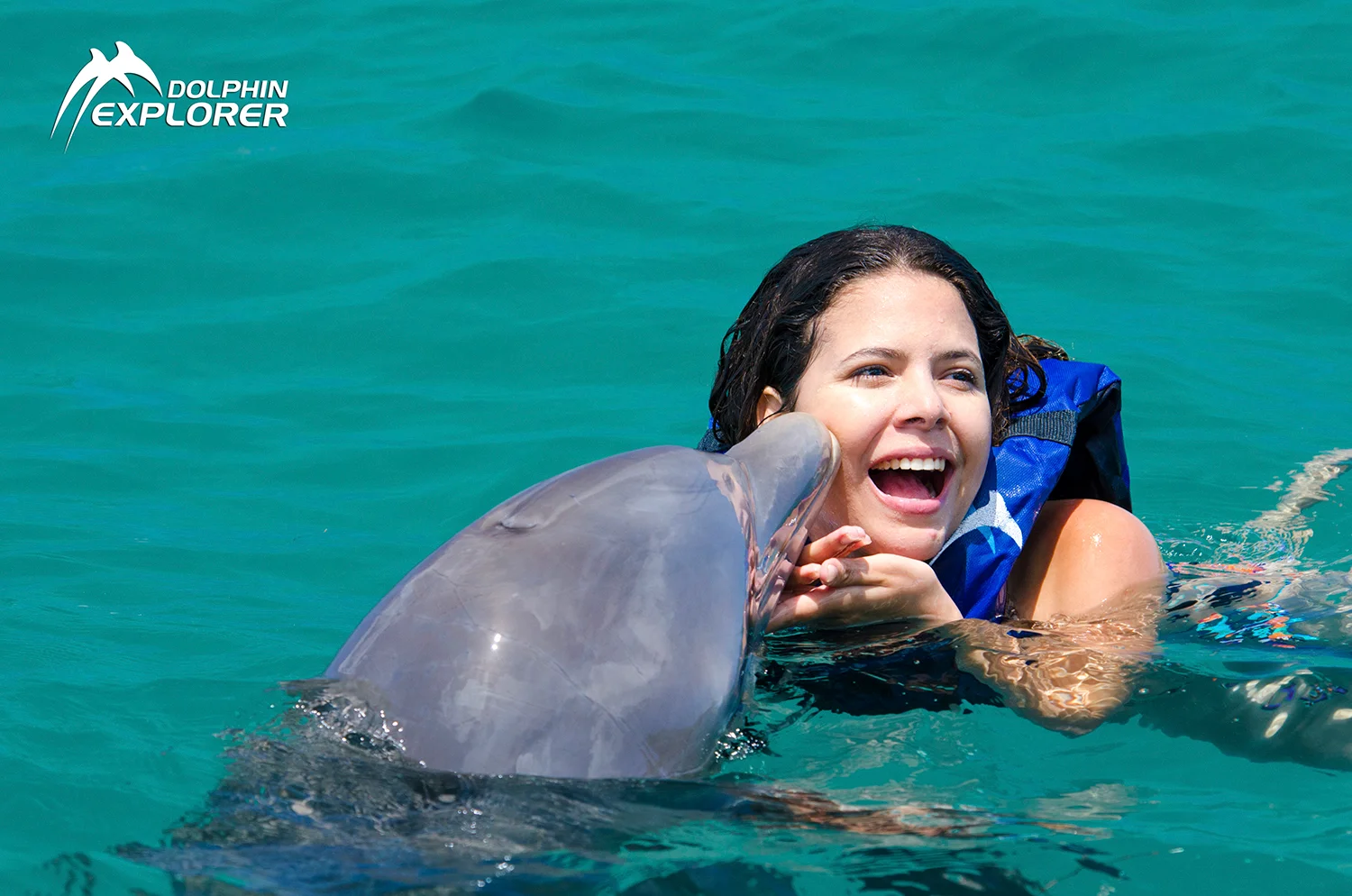 Dolphin Explorer