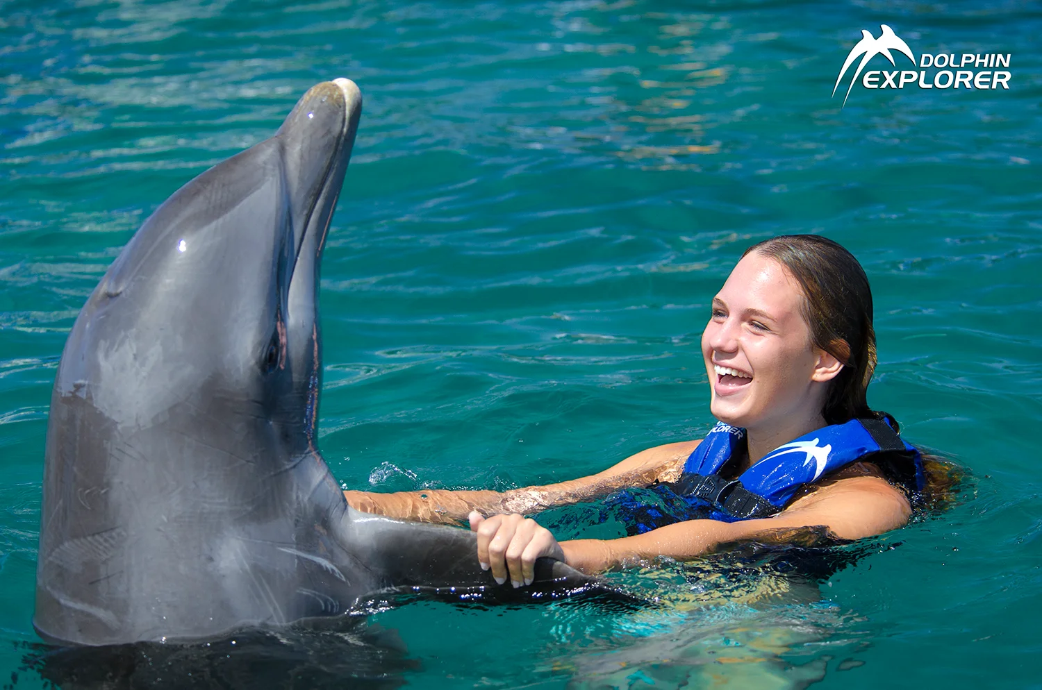 Dolphin Explorer · foto 3