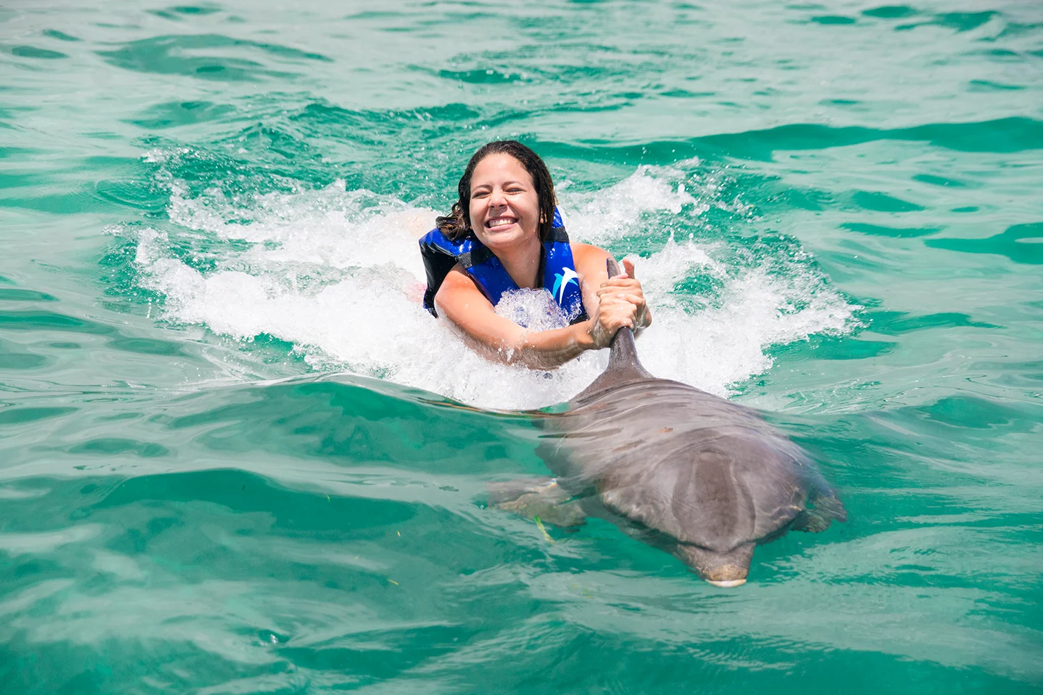Dolphin Explorer · foto 2