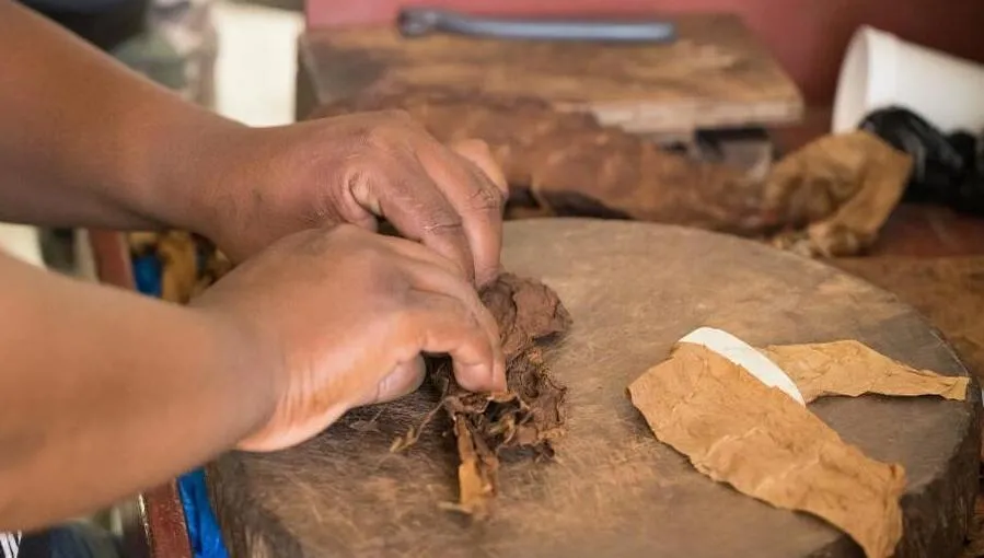 Elaboración artesanal de tabaco