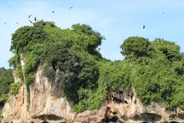 Los Haitises y Cayo Levantado
