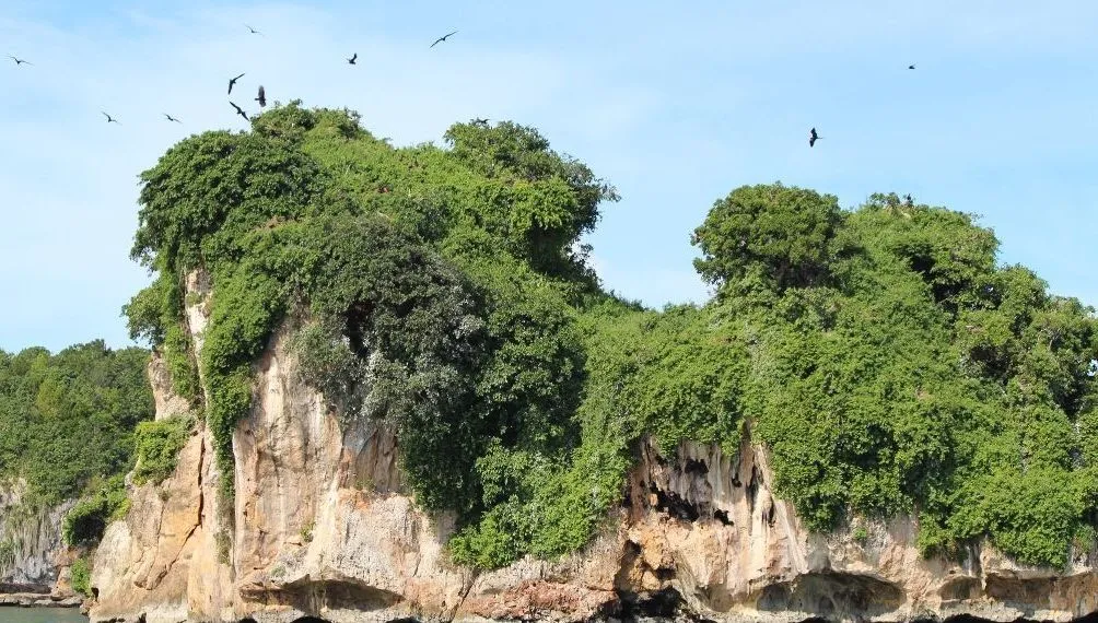 Excursión a Los Haitises y Cayo Levantado