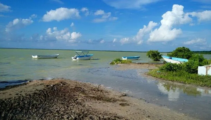 Laguna de Oviedo y flamencos