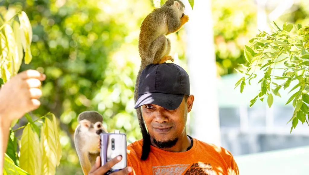 Monkeyland · foto 6