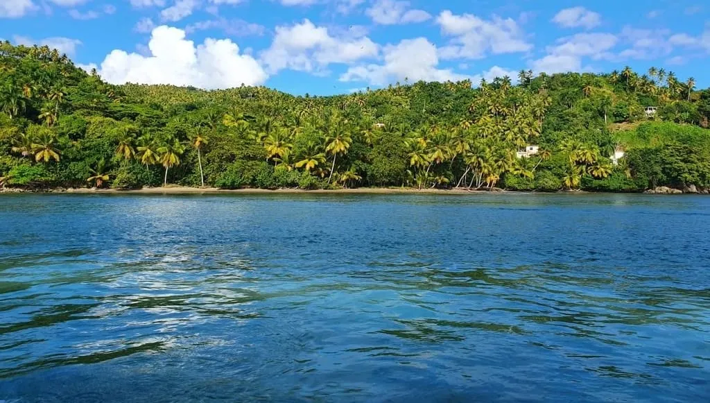 Samaná · foto 5