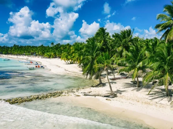 Tour privado a Isla Saona