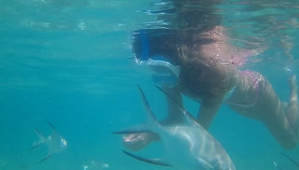 Snorkel en Punta Cana: fotografía 7 de la experiencia