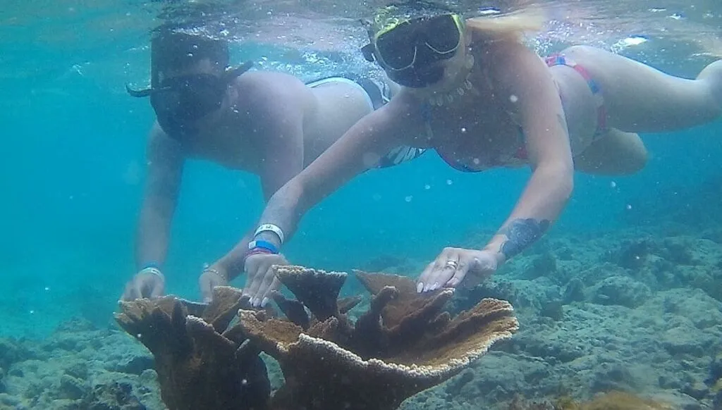 Snorkel en Punta Cana: fotografía 5 de la experiencia