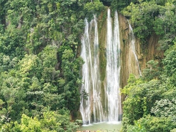 Samaná Excursion
