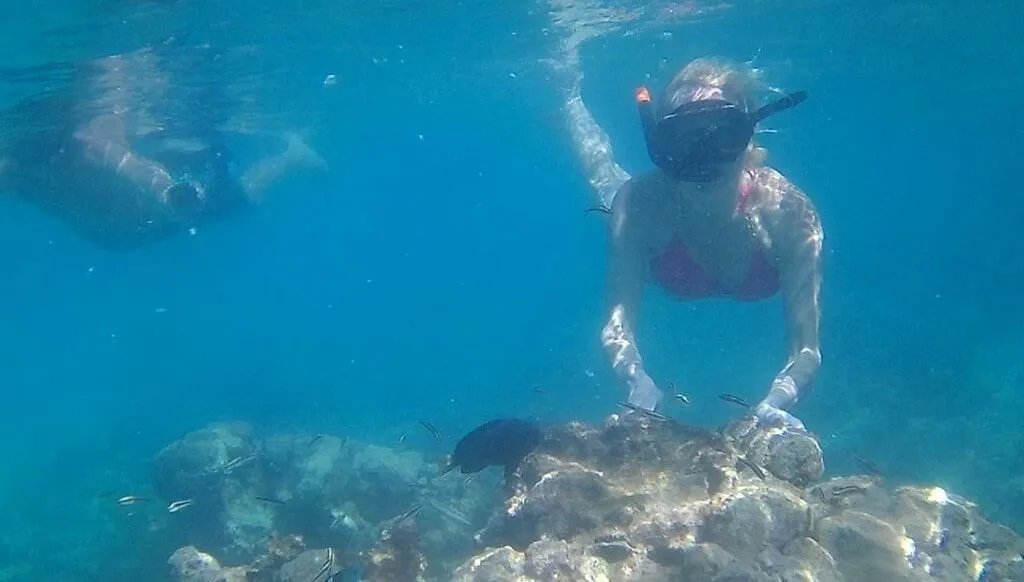 Snorkel en Punta Cana: fotografía 6 de la experiencia