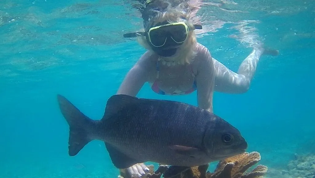 Snorkel en Punta Cana: fotografía 3 de la experiencia