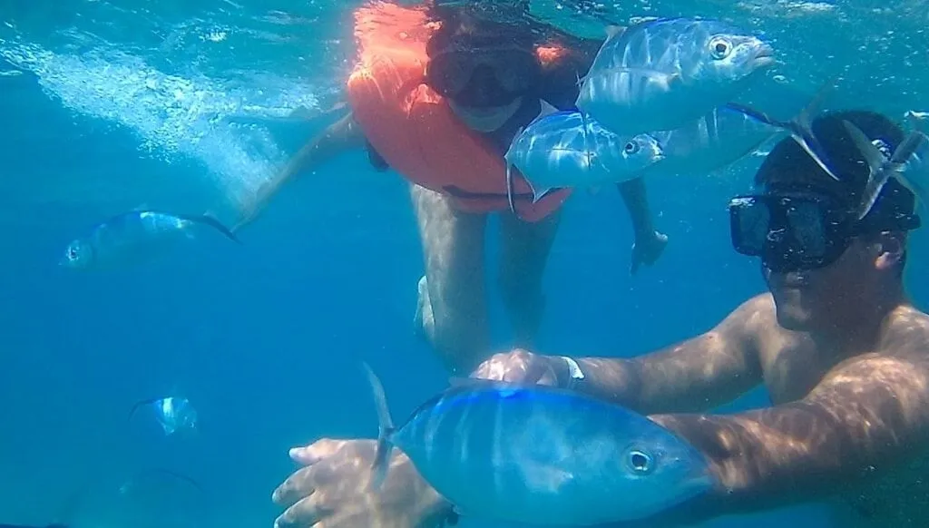 Snorkel en Punta Cana: fotografía 4 de la experiencia